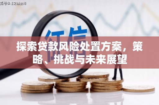 大渡口探索贷款风险处置方案，策略、挑战与未来展望