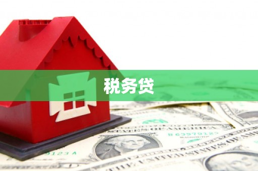 大渡口税务贷