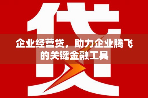 大渡口企业经营贷，助力企业腾飞的关键金融工具