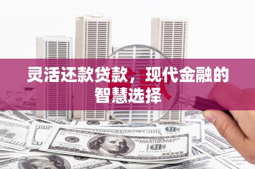 大渡口灵活还款贷款，现代金融的智慧选择