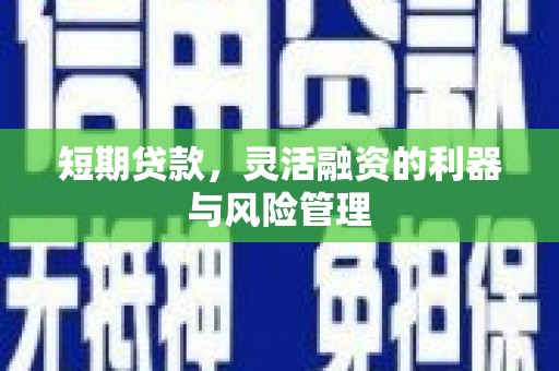 大渡口短期贷款，灵活融资的利器与风险管理