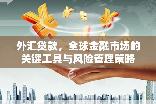 大渡口外汇贷款，全球金融市场的关键工具与风险管理策略