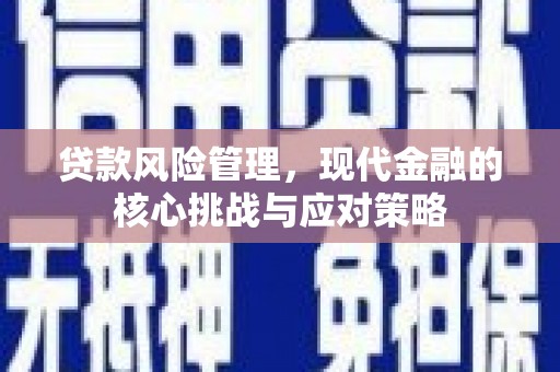 大渡口贷款风险管理，现代金融的核心挑战与应对策略