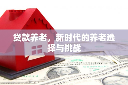 大渡口贷款养老，新时代的养老选择与挑战