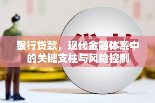 大渡口银行贷款，现代金融体系中的关键支柱与风险控制