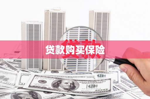 大渡口贷款购买保险