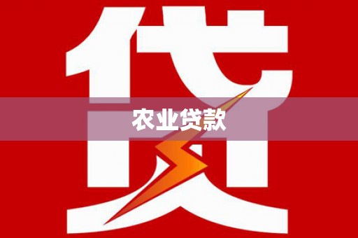 大渡口农业贷款