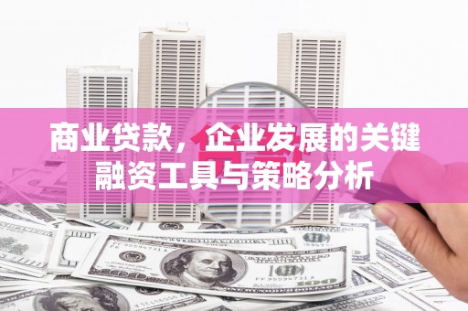 大渡口商业贷款，企业发展的关键融资工具与策略分析