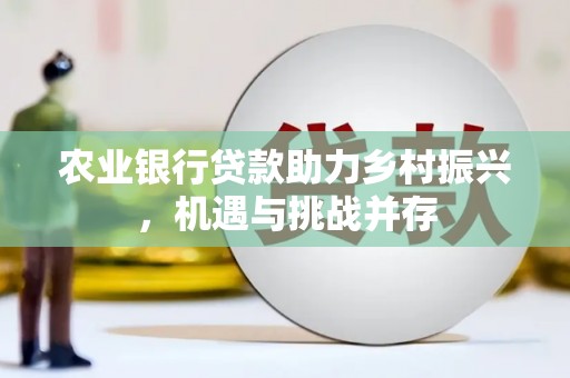 大渡口农业银行贷款助力乡村振兴，机遇与挑战并存