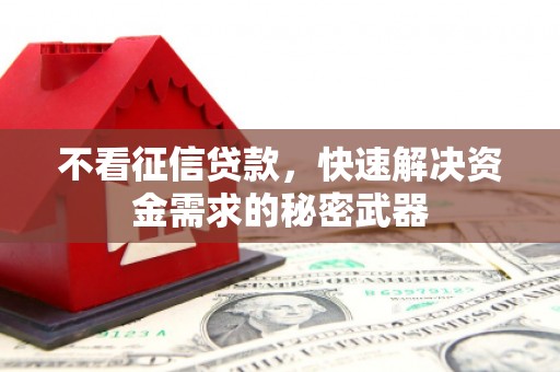 大渡口不看征信贷款，快速解决资金需求的秘密武器