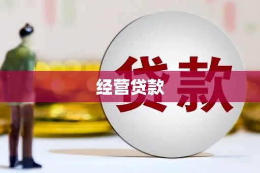 大渡口经营贷款