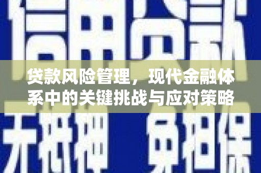 大渡口贷款风险管理，现代金融体系中的关键挑战与应对策略