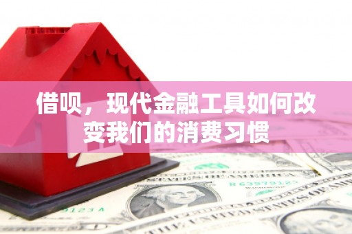 大渡口借呗，现代金融工具如何改变我们的消费习惯