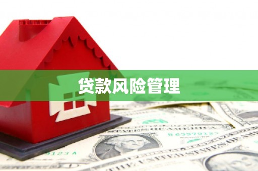 大渡口贷款风险管理