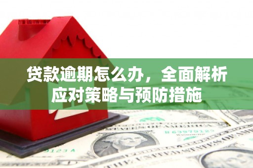 大渡口贷款逾期怎么办，全面解析应对策略与预防措施