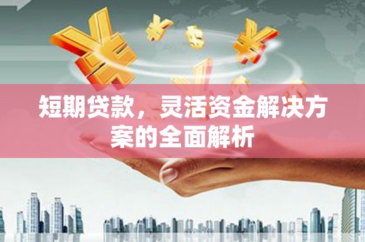 大渡口短期贷款，灵活资金解决方案的全面解析