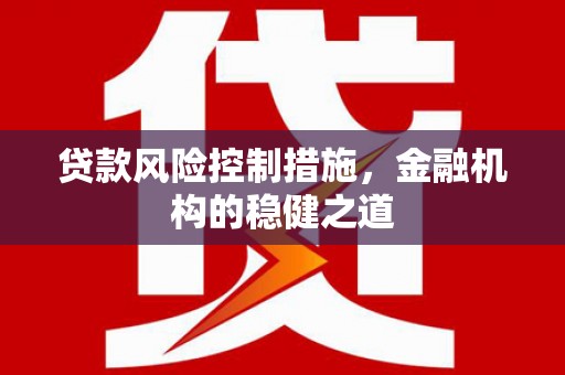 大渡口贷款风险控制措施，金融机构的稳健之道