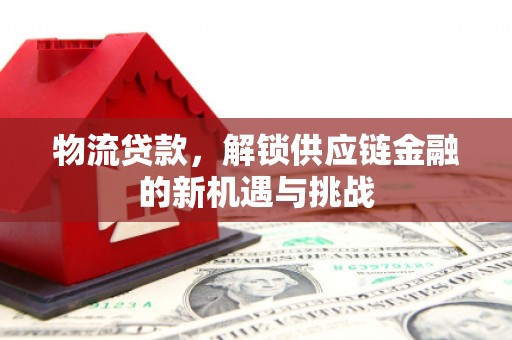 大渡口物流贷款，解锁供应链金融的新机遇与挑战