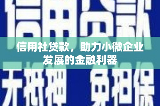 大渡口信用社贷款，助力小微企业发展的金融利器