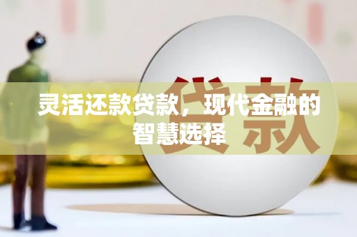 大渡口灵活还款贷款，现代金融的智慧选择