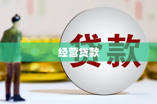 大渡口经营贷款