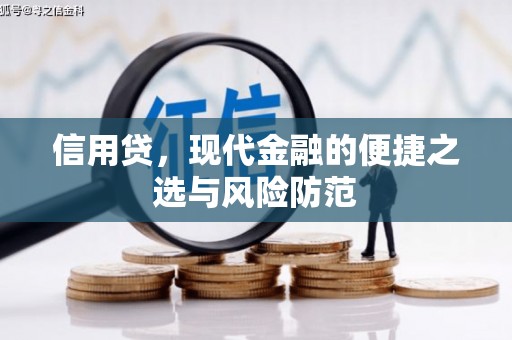 大渡口信用贷，现代金融的便捷之选与风险防范