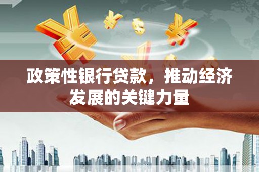 大渡口政策性银行贷款，推动经济发展的关键力量