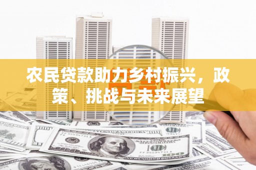 大渡口农民贷款助力乡村振兴，政策、挑战与未来展望