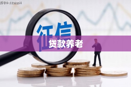 大渡口贷款养老