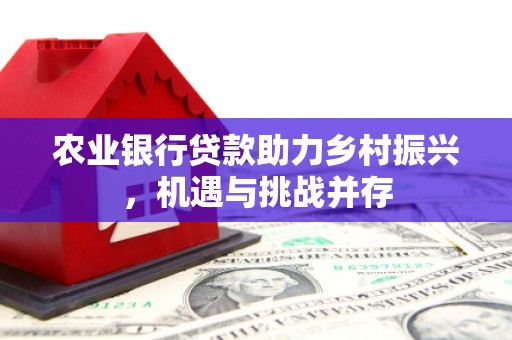 大渡口农业银行贷款助力乡村振兴，机遇与挑战并存