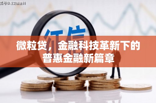 大渡口微粒贷，金融科技革新下的普惠金融新篇章