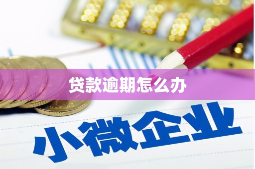 大渡口贷款逾期怎么办