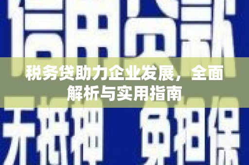 大渡口税务贷助力企业发展，全面解析与实用指南