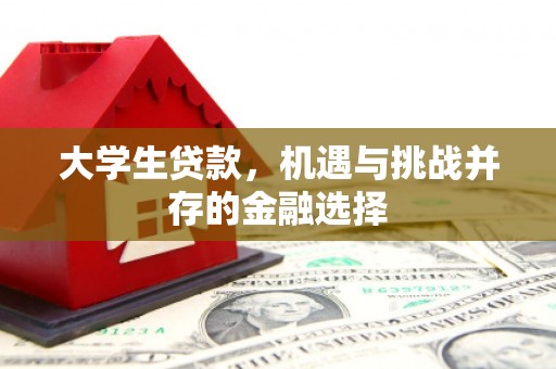 大渡口大学生贷款，机遇与挑战并存的金融选择
