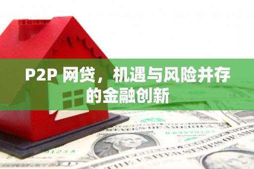大渡口P2P 网贷，机遇与风险并存的金融创新