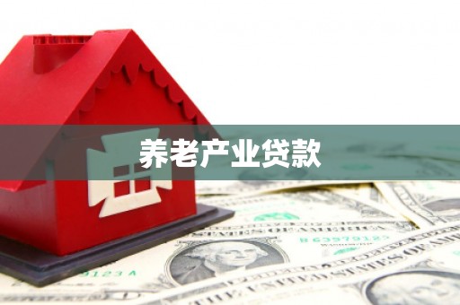 大渡口养老产业贷款