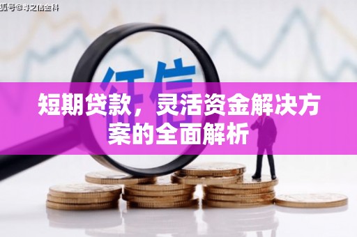 大渡口短期贷款，灵活资金解决方案的全面解析