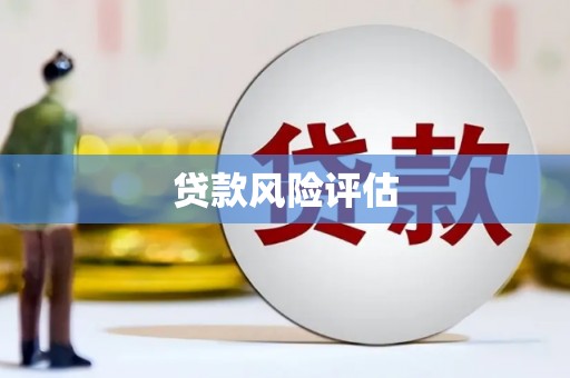 大渡口贷款风险评估