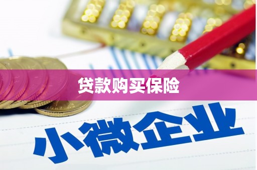 大渡口贷款购买保险