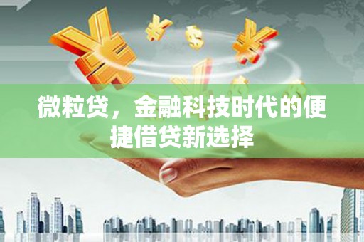 大渡口微粒贷，金融科技时代的便捷借贷新选择