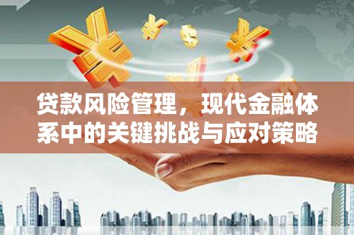 大渡口贷款风险管理，现代金融体系中的关键挑战与应对策略