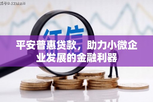 大渡口平安普惠贷款，助力小微企业发展的金融利器