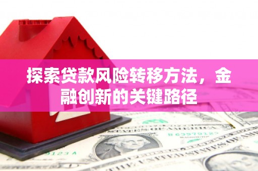 大渡口探索贷款风险转移方法，金融创新的关键路径