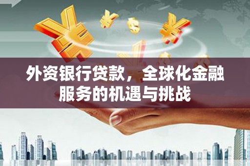 大渡口外资银行贷款，全球化金融服务的机遇与挑战