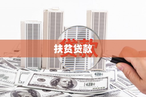 大渡口扶贫贷款