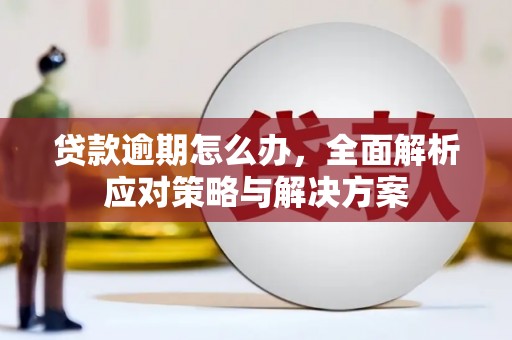 大渡口贷款逾期怎么办，全面解析应对策略与解决方案
