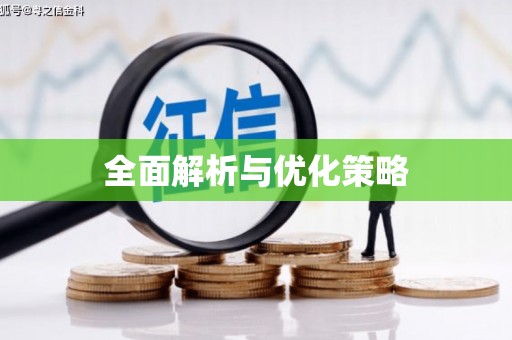大渡口全面解析与优化策略