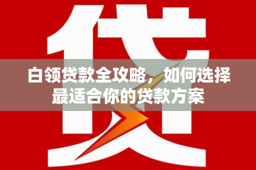 大渡口白领贷款全攻略，如何选择最适合你的贷款方案